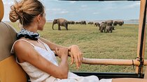 Kandy to Trincomalee Shuttle & Safari Drive