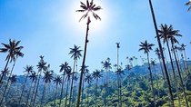 Cocora, Salento and Coffee Experience