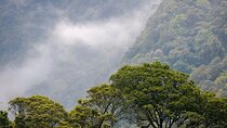 Kodiyaragala mandaram Nuwara Camping Night Tour From Kandy