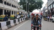 Delhi- Privately Guided Half Day Tour ( 5 Hours )