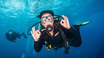 PADI Open Water course in Playa de las Americas