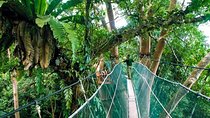 Sabah Highlights Adventure 7D/6N