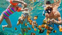  Blue Lagoon Snorkeling - Cave Waterfall - And More - All Included + FREE Wi-Fi