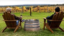Mornington Peninsula Premium Tour with Wine Tasting at Yabby Lake 