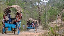 Sigiriya Rock and Village Tour from Dambulla