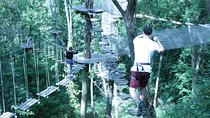 Tree Top Adventure in Rueil-Malmaison 