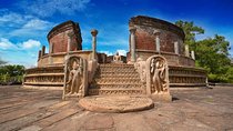Polonnaruwa Ancient Kingdom and Wild Elephant Safari from Sigiriya