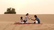 Private 4x4 Morning Desert Drive with Wildlife Experience & Sandboarding