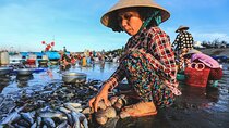 Mui Ne 'Red Sand' & Cham Local Culture Experience 2D/1N