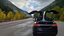 Tesla Model X Transfers
