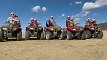 Morning Quad Bike Desert Safari Tour From Luxor Hotel or Nile Cruise