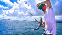 Sport Fishing from Negombo
