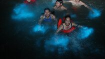Half-Day Private Tour to Martha Brae and Luminous Lagoon