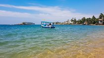 Whale Watching Boat Tour from Beruwala