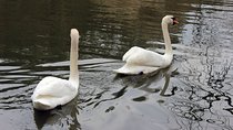 Sapanca highlights ;Private guided tour