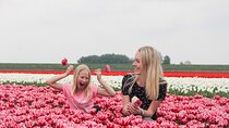 Keukenhof and Zaanse Schans Windmills Guided Tour with local