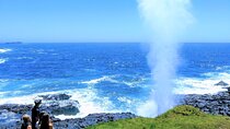 Erupting Blowholes and Ancient Rainforests SOUTH COAST OF SYDNEY PRIVATE TOUR