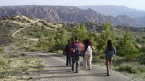 Private Dana Biosphere Reserve Experience Overnight with Optional Rumana Visit