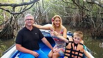 Bentara River Boat Safari