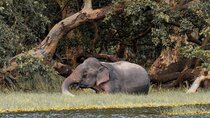 Wilpattu National Park Safari from Habarana