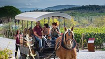 Exclusive Suvereto tour from Florence: Land of Elisa Bonaparte