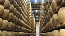Food and wine tour from Bologna