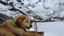 Annapurna Base Camp with Poon hill 9-Day Trek Itinerary