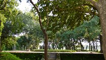 Sacred City of Anuradhapura from Habarana