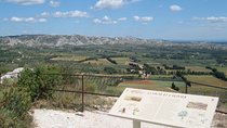 Custom Planned Provence Rosé Vineyard Tour with Private Driver