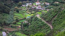Private 6-hour Tour of La Laguna and Anaga Biosphere Reserve w/ Hotel pick-up