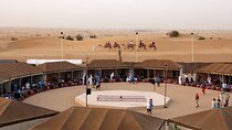 Enjoy The Evening Desert Safari Quad Bike From Dubai