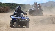 Quad Safari