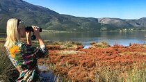  Albania: Jeep Tour to Cape Rodon Bay with Lunch&WineTasting Fullday from Tirana