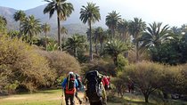 Private Full Day La Campana Hill Trekking Tour from Santiago