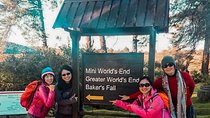 Nature | Wild | Culture | Hill Country | Tour in Sri Lanka 6N 7D 
