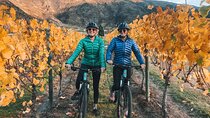 Bike The Wineries Full Day Ride - Queenstown