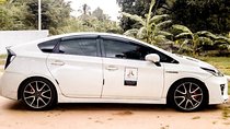 Transfer between Colombo Airport (CMB) and Forest View Lodge, Nuwara Eliya