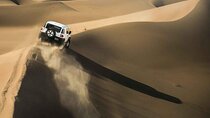 Morning Dubai Desert Safari with Dune Bashing & Sandboarding & Camel Riding