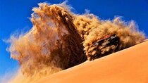 Dubai Desert Enjoy Camping Camel, Safari with BBQ and Belly Dance