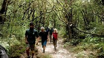 Hiking & Trekking in Knuckles Mountain Range