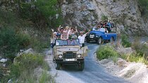 Jeep Safari ~ Pine tree forest ~ ;Solo ;Group ;Family