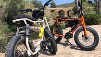 Self-Guided E-Bike Adventure with Lunch included