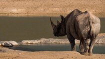 9 Day Canyons, Dunes & Wildlife Camping and Lodge Safari