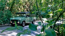 Jeep Tour - Tijuca Tropical Forest