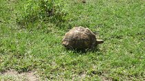 2 Days Loberia Trekking with Rare Rhino