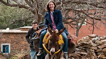 Atlas Mountains and mule Ride Day Tour From Marrakech