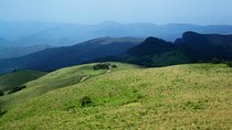 Guided Hike To Riverston