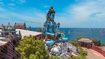 Trincomalee Day Tour from Sigiriya, Dambulla or Habarana
