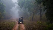 Full-Day Private Safari Tour to Ranthambore National Park