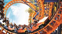 Private Tour to Beto Carreiro World with Floripa Nativa Turismo